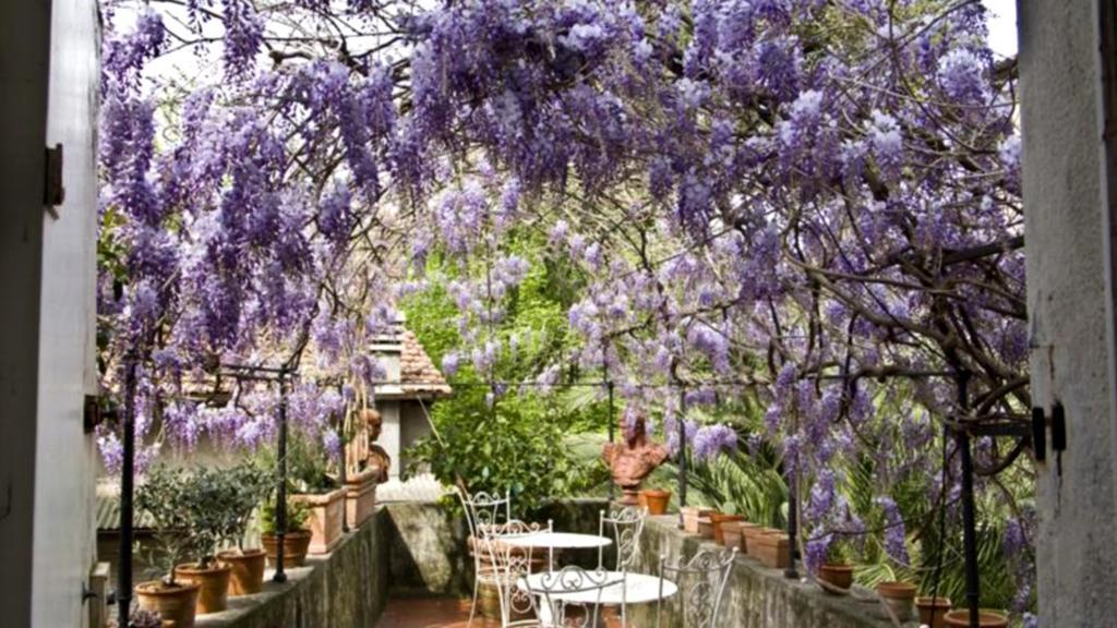 Locanda Sant' Agostino ลุคคา ภายนอก รูปภาพ